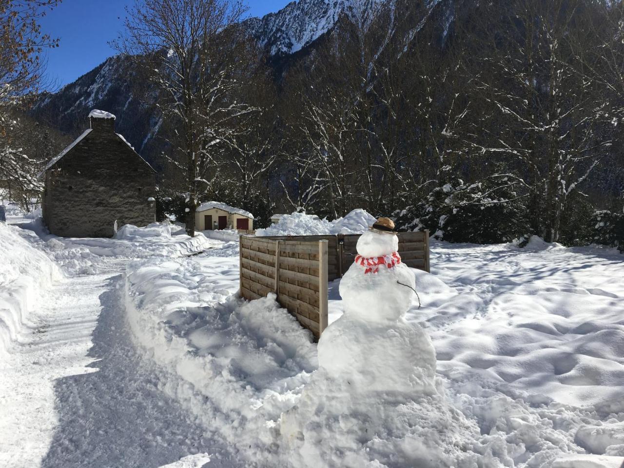 아라뉴엣 Gite Espace Et Montagne 빌라 외부 사진